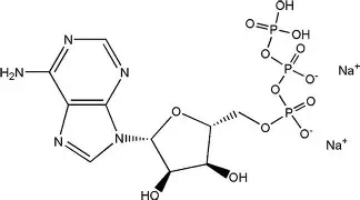 Adenosin 5'-garam dinatrium trifosfat (ATP-Na2): Mata Uang Energi Seluler, Ki...
